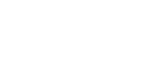 The Root